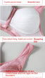 Lace Front Button Soft Cotton Vest Style Strapless Bra - Comfortable Support | The Intimaire