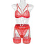 Womens Lace Sheer Lingerie 3-Piece Set