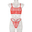 Mesh See-Through Simple Two-Piece Sling Lingerie - European Style